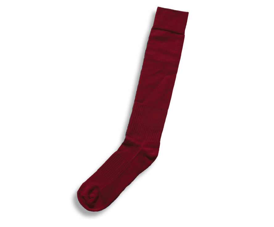 Barbarian - PRO-FIT - Solid Socks